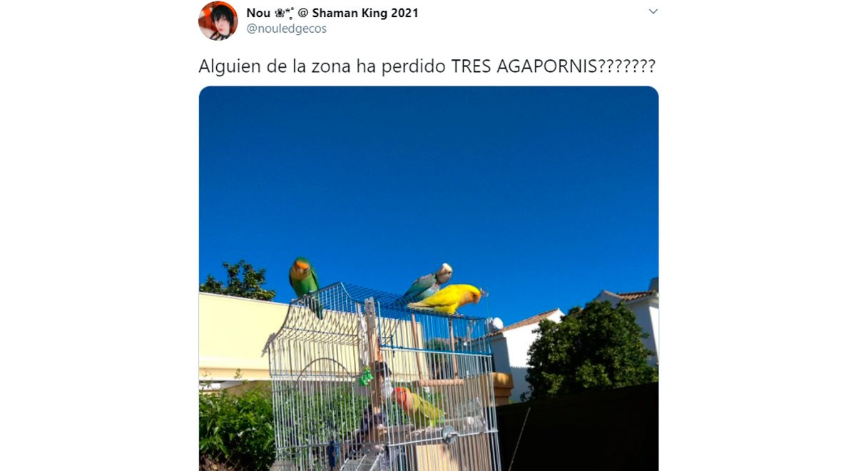 elpopular.pe elpopular.pe