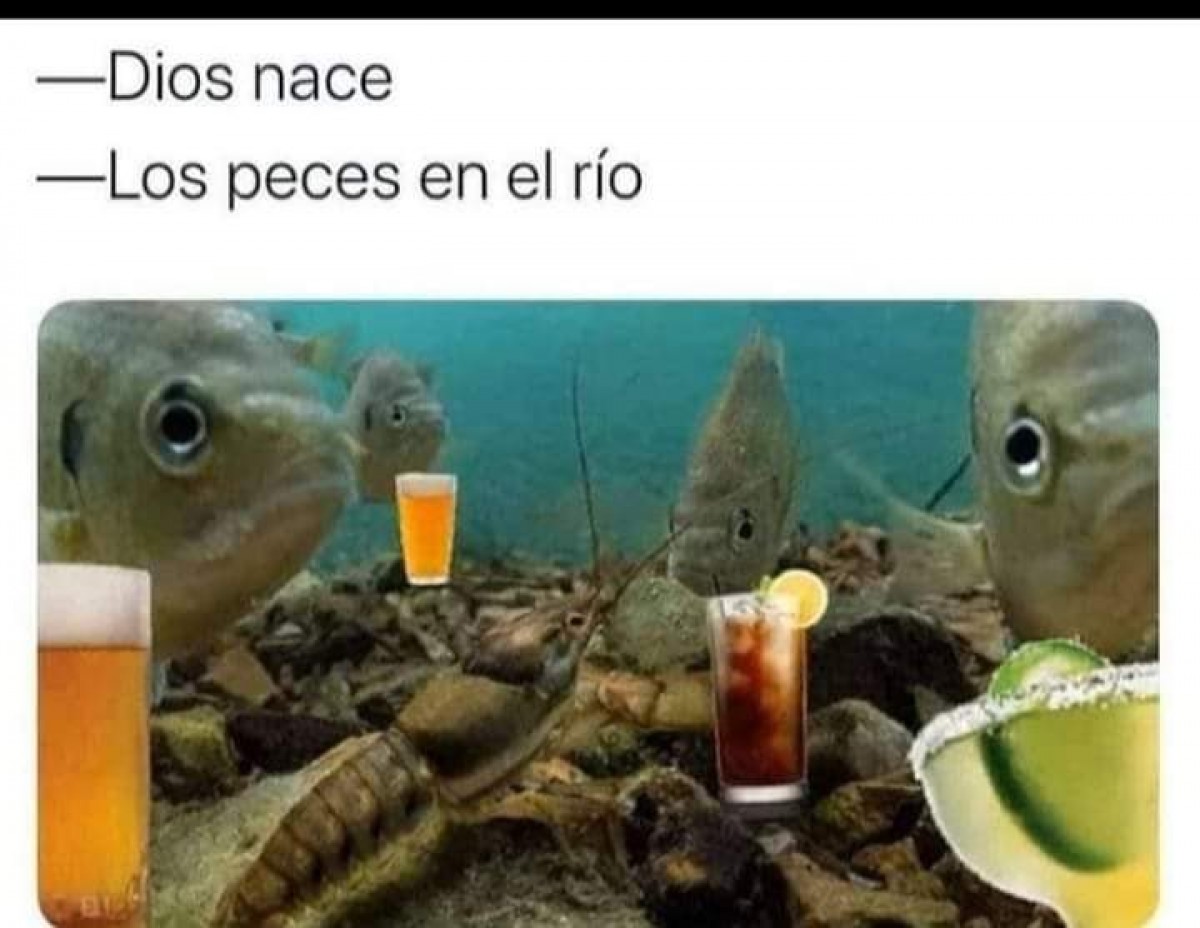 aweita.pe aweita.pe