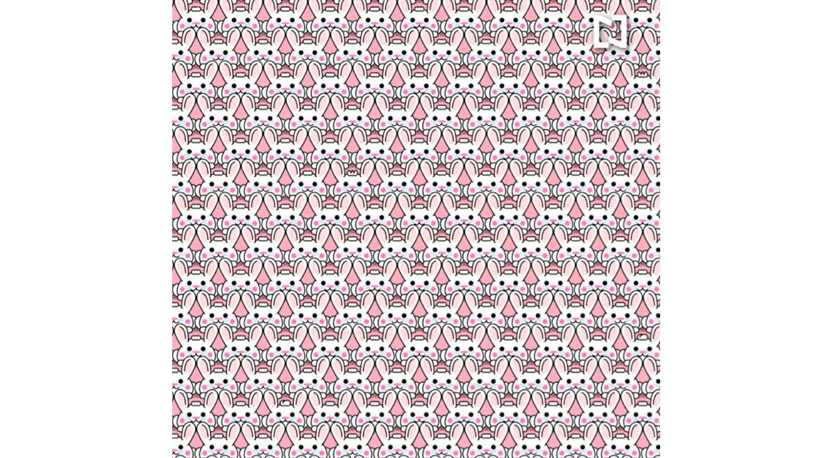 elpopular.pe