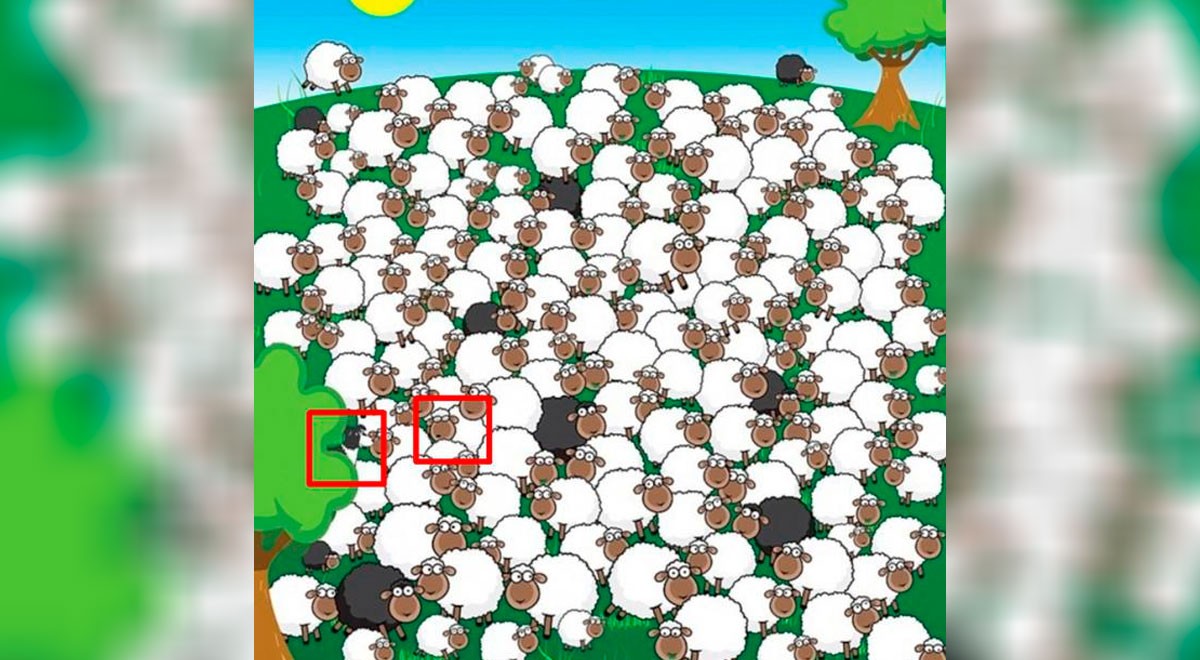 elpopular.pe elpopular.pe