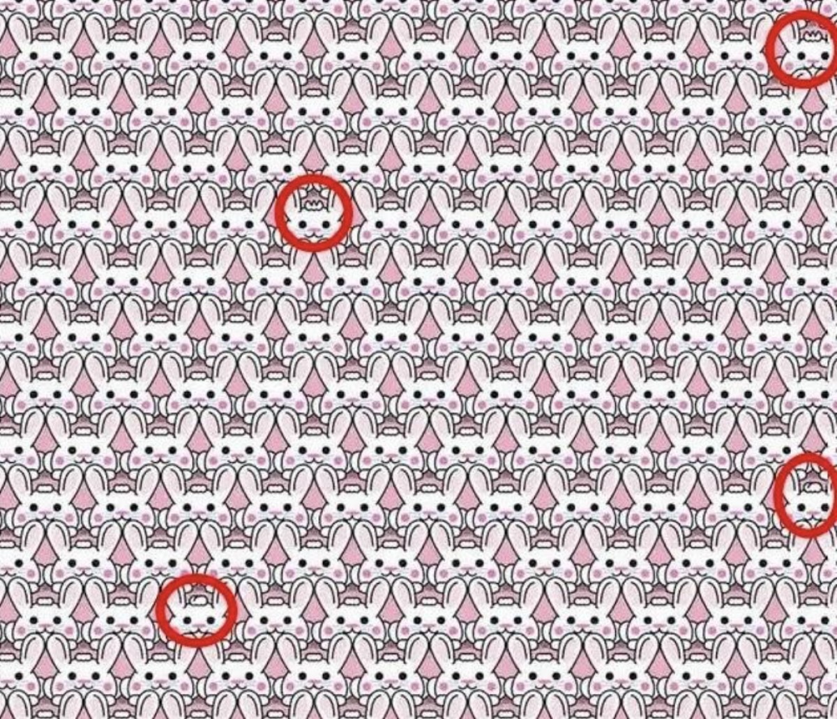 elpopular.pe