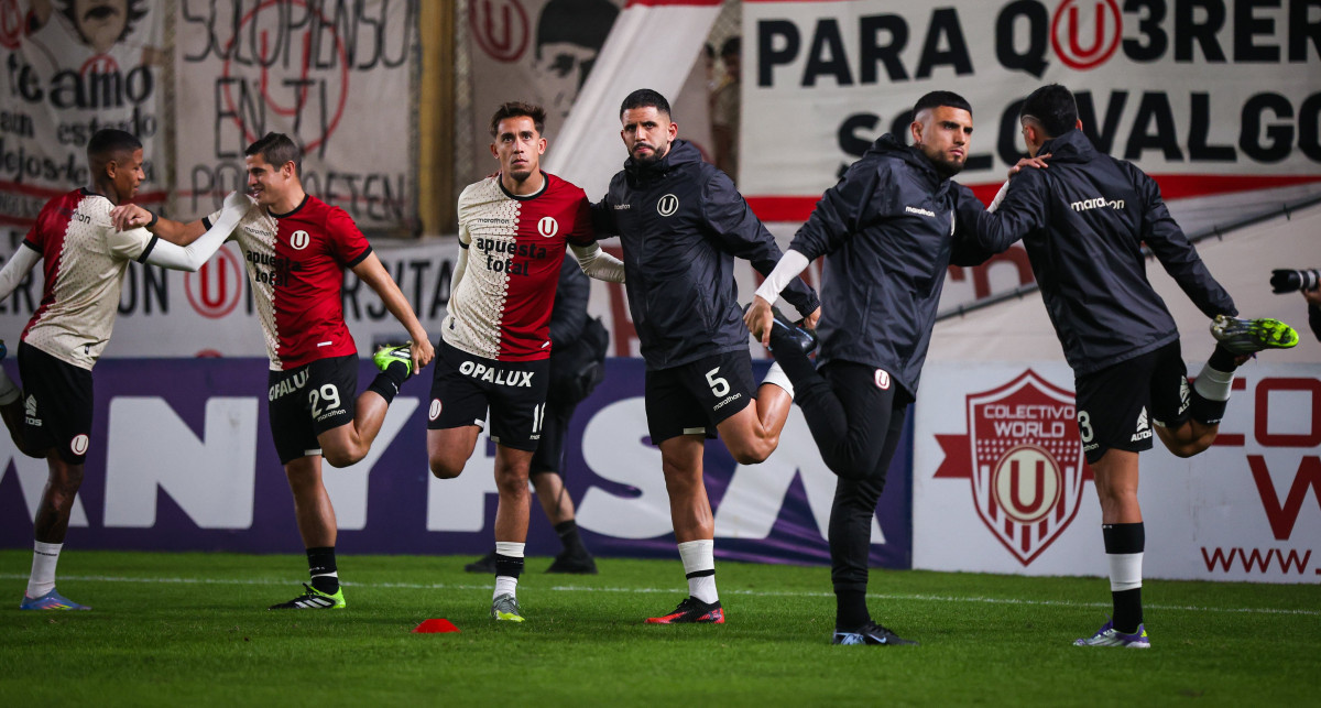 Universitario