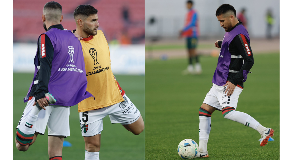 Palestino