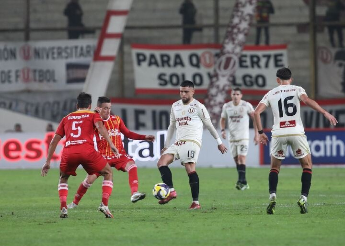 universitario