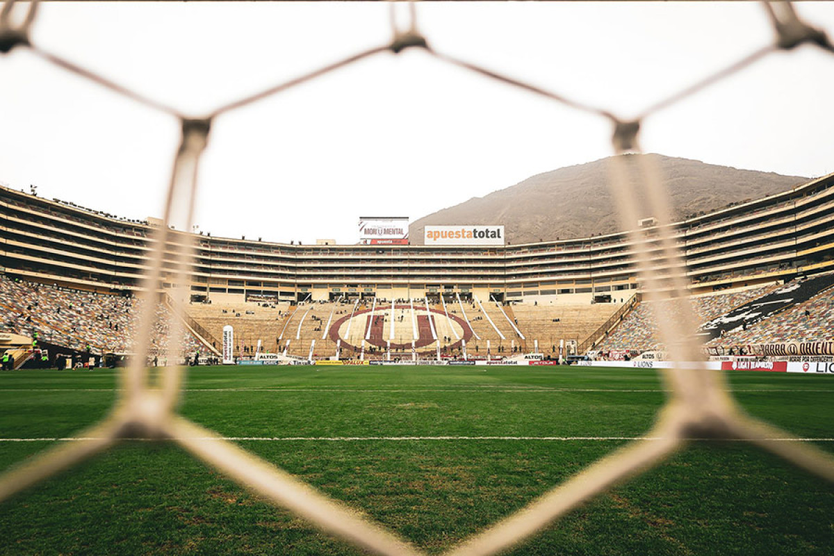 Universitario