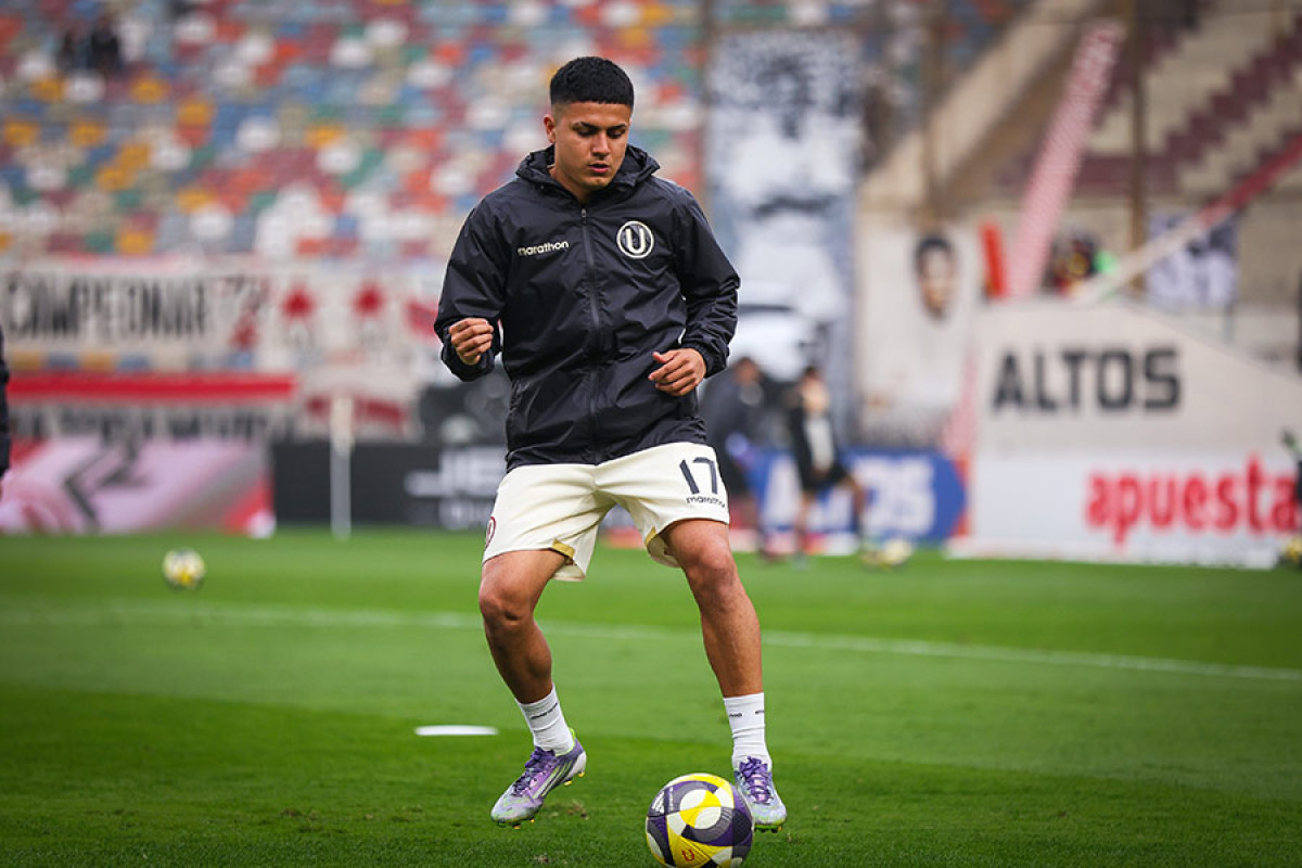 Universitario