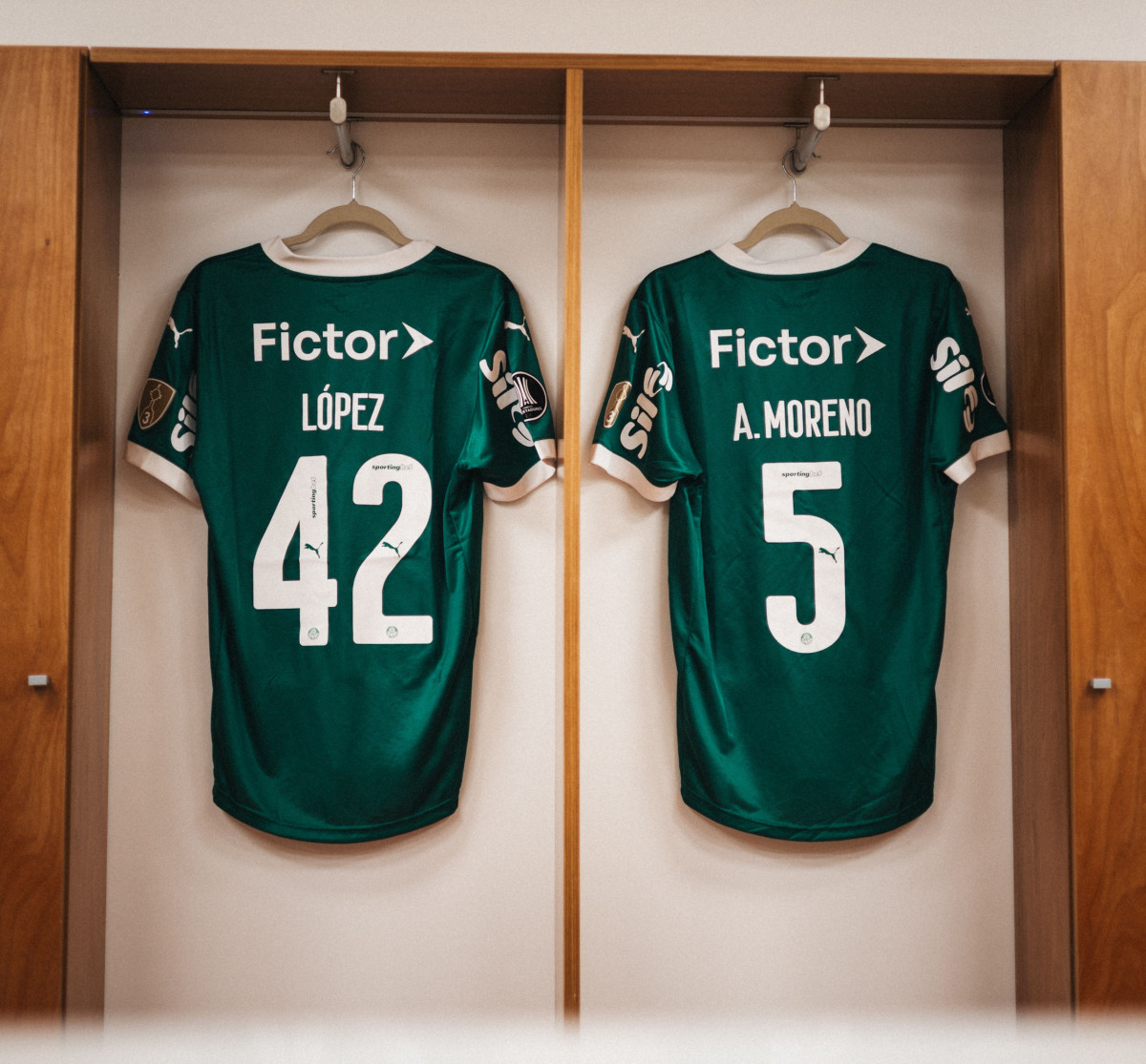 Palmeiras