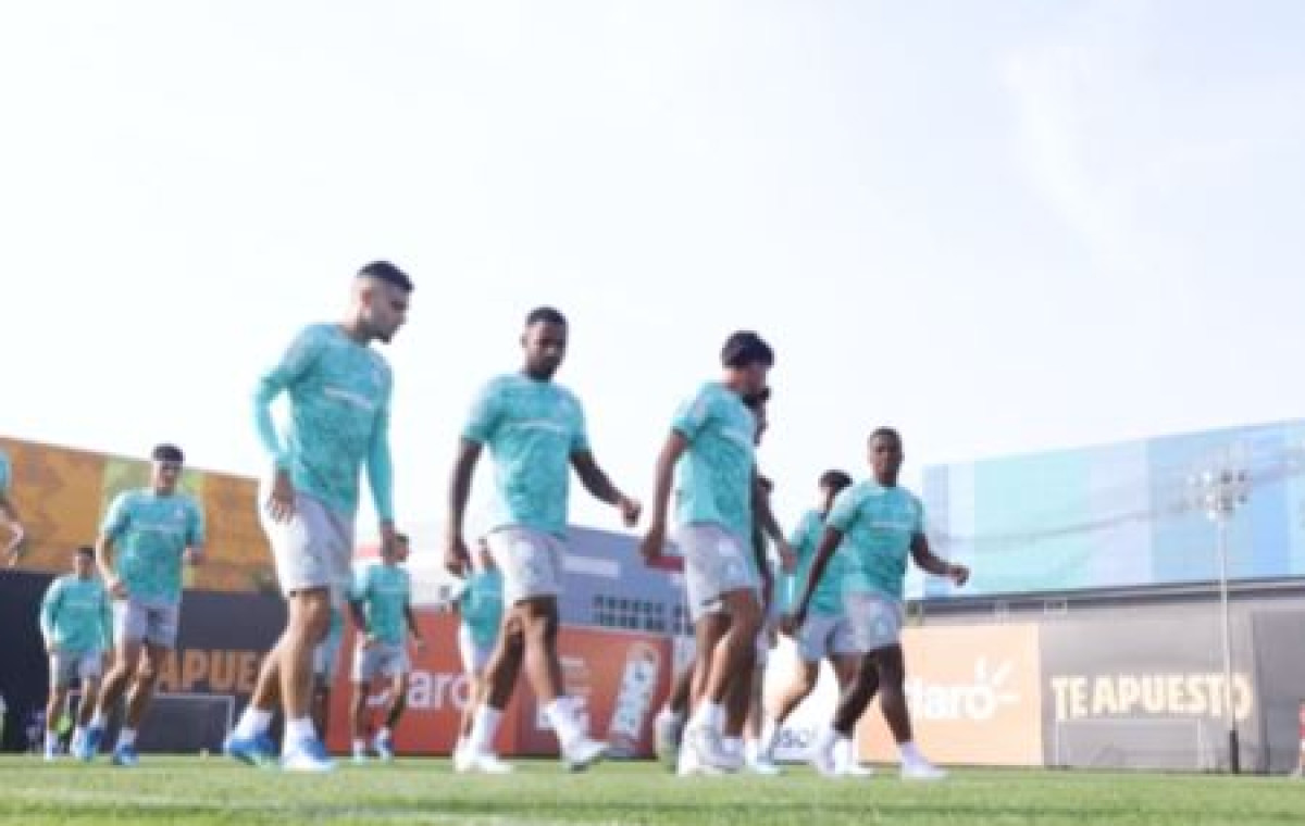 Palmeiras