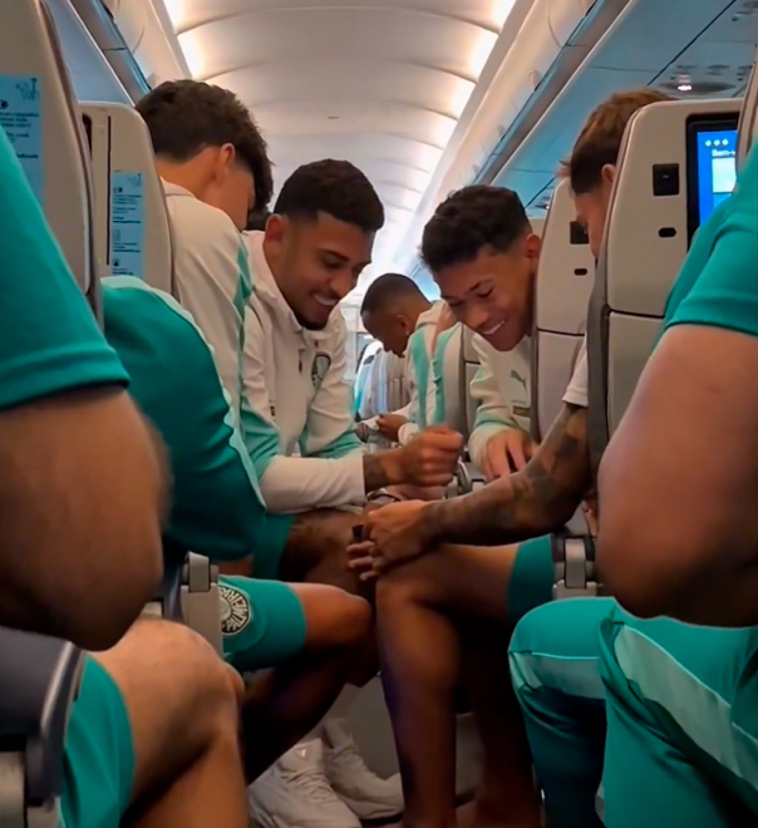 Palmeiras